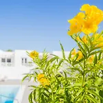 Appartement Flower 6